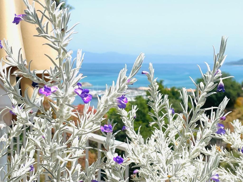 S'O Suites Tropea Bagian luar foto